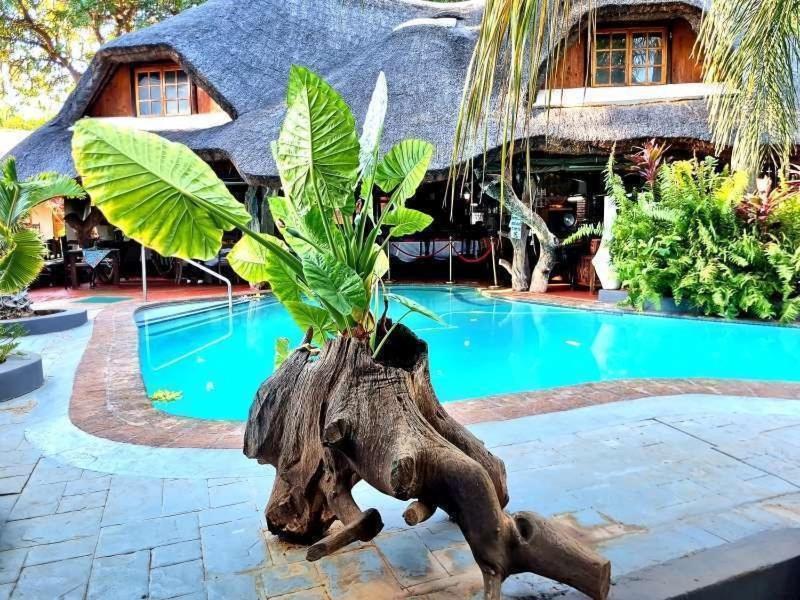 Dei Gratia Guest House Musina Buitenkant foto